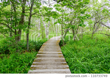 漫步標津町波川史蹟公園 110733749