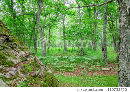 漫步標津町波川史蹟公園 110733750