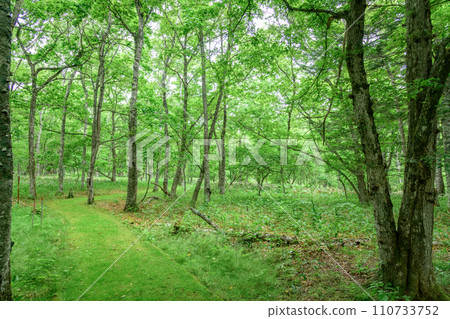 漫步標津町波川史蹟公園 110733752