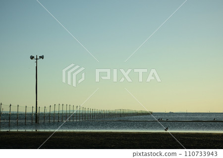 船橋三番瀨夜景 船橋三番瀨夜景 110733943