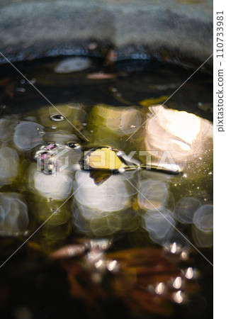 Ginkgo floating on the water surface Ginkgo floating on the water surface 110733981