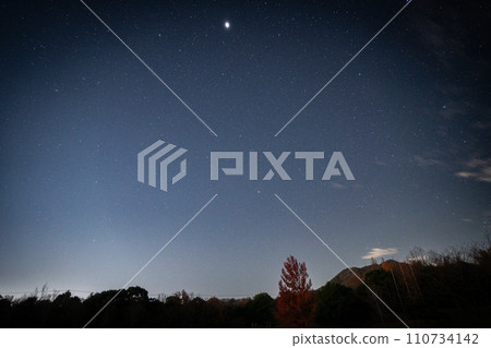 三重縣 森林 星空 冬季 110734142