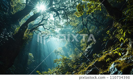 Nature's Canvas: Dynamic Forest Montage Reveals the Beauty of Tree Diversity Nature's Canvas: Dynamic Forest Montage Reveals the Beauty of Tree Diversity 110734398