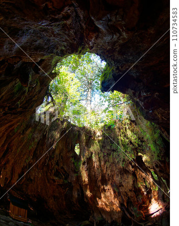 Heart mark seen from inside Wilson stock in Yakushima 110734583