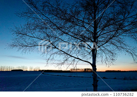 Winter morning Winter morning 110736282