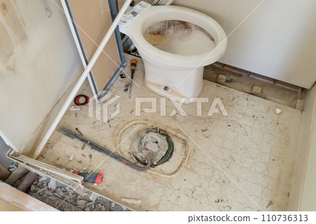 Housing renovation work: Dismantling toilets 110736313