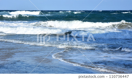 Ishihama Beach, Takahagi City, Ibaraki Prefecture Ishihama Beach, Takahagi City, Ibaraki Prefecture 110736447