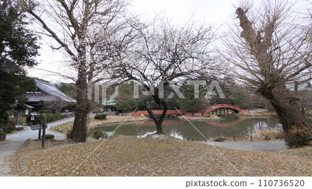 冬季的稱名寺,這是一座與北條氏有關的寺廟,位於神奈川縣橫濱市金澤八景附近 冬季的稱名寺,這是一座與北條氏有關的寺廟,位於神奈川縣橫濱市金澤八景附近 110736520