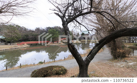 冬季的稱名寺,這是一座與北條氏有關的寺廟,位於神奈川縣橫濱市金澤八景附近 冬季的稱名寺,這是一座與北條氏有關的寺廟,位於神奈川縣橫濱市金澤八景附近 110736522