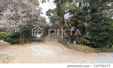 冬季的稱名寺,這是一座與北條氏有關的寺廟,位於神奈川縣橫濱市金澤八景附近 冬季的稱名寺,這是一座與北條氏有關的寺廟,位於神奈川縣橫濱市金澤八景附近 110736575
