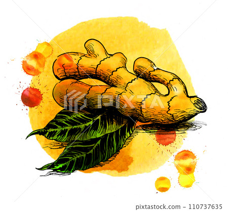 watercolor, bird, sausages 110737635