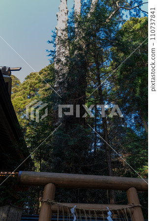 [熊本縣] 平立神社 110737841