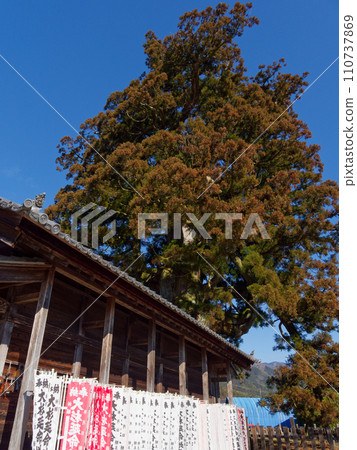 Kashimo Osugi Jizo and the nationally designated natural monument Kashimo Osugi 110737869