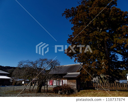 鹿島大杉地藏和國家指定天然紀念物鹿島大杉 110737874