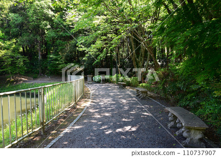 Nanatsudo Park 2023-5-4 #66 Nanatsudo Park 2023-5-4 #66 110737907