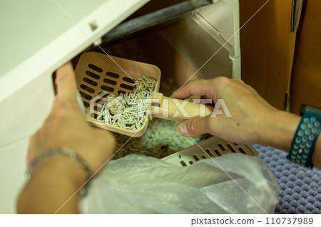 A woman's hand scoops up cat urine in the cat litter box. A woman's hand scoops up cat urine in the cat litter box. 110737989