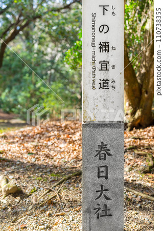 春日大社“下野根道” 春日大社“下野根道” 110738355