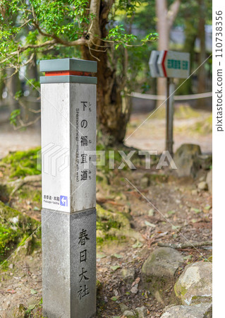 Kasuga Taisha Shrine “Shimono Negimichi” 110738356