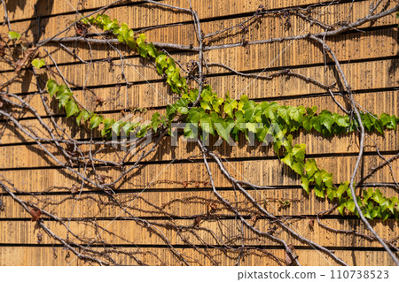 背景素材/紋理/圖像素材 背景素材/紋理/圖像素材 110738523