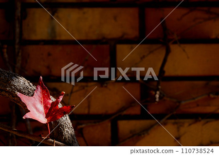 背景素材/紋理/圖像素材 110738524