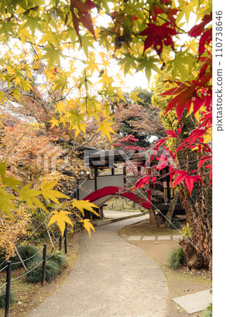 Red, yellow and green maple trees at Mainland Temple 110738646