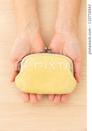 Hand of a middle-aged woman holding a wallet Hand of a middle-aged woman holding a wallet 110738842