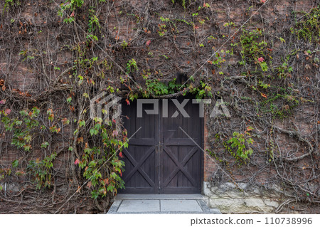 Old door photo of old wooden retro door 110738996