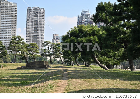 台場週邊 110739518
