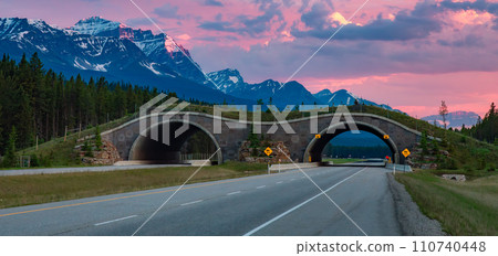 Animal crossing bridge across Trans-Canada Highway in Banff. Sunrise 110740448