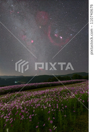 Cosmos and Orion Cosmos and Orion 110740676