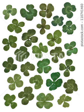 手繪三葉草插畫 110741460