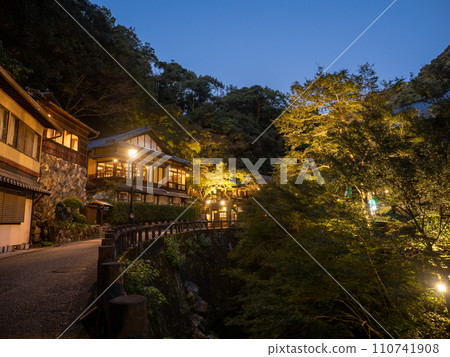 [Mino City] Waterfall path of Minoh Park at night 110741908
