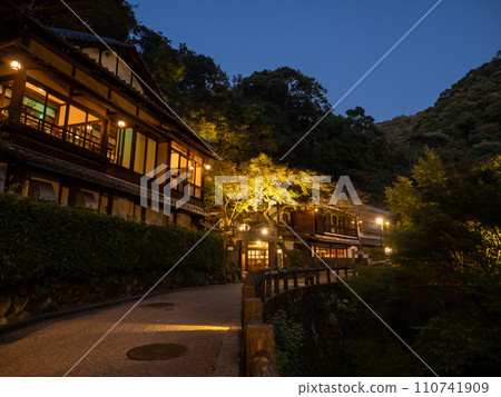 [Mino City] Waterfall path of Minoh Park at night 110741909