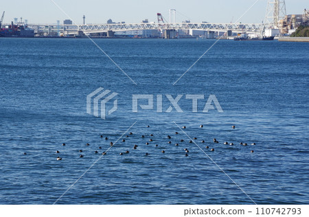 A view of the ocean, Umishibaura 110742793