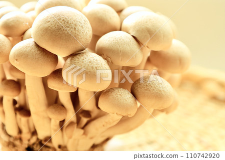 Bunshimeji mushrooms on a bamboo basket, which is an ingredient in a hot pot. 110742920