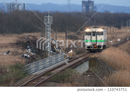 Kiha 40 local train running on the remaining section of Hidaka Main Line Hidaka Line JR Hidaka Main Line Kiha 40 last performance 110743751