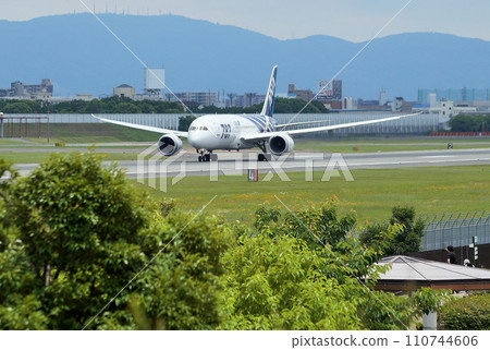 ANA Boeing 787 special livery aircraft (at Itami Airport) ANA Boeing 787 special livery aircraft (at Itami Airport) 110744606