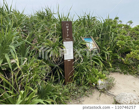 沖繩縣南部城市、久高島最北端、哈比安（Kaberu岬）、發電點 110746257