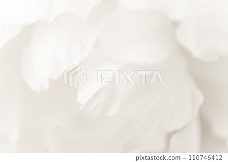 花瓣/雅華背景素材 花瓣/雅華背景素材 110746412