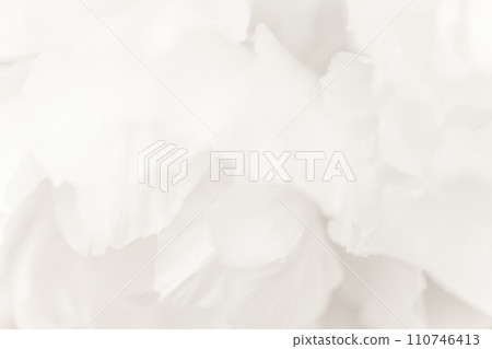 Petals/elegant background material 110746413