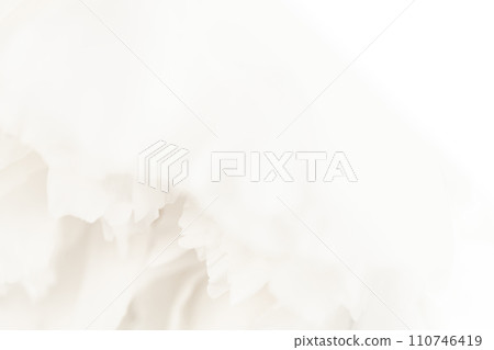 花瓣/雅華背景素材 花瓣/雅華背景素材 110746419