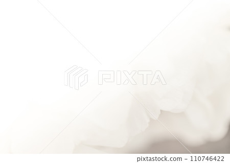 花瓣/雅華背景素材 花瓣/雅華背景素材 110746422