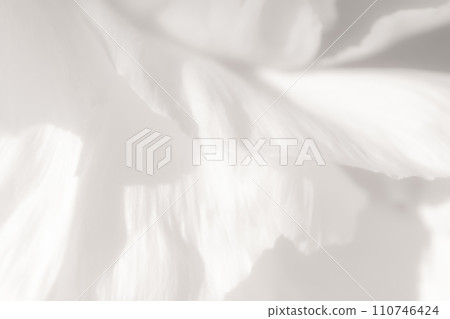 花瓣/雅華背景素材 花瓣/雅華背景素材 110746424