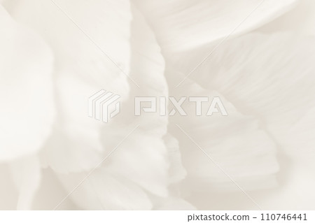 Petals/elegant background material Petals/elegant background material 110746441