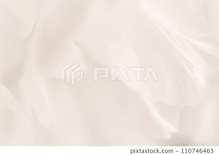 Petals/elegant background material Petals/elegant background material 110746463