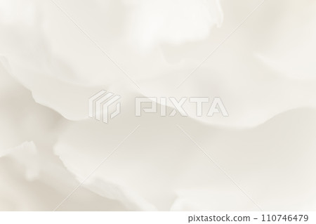 Petals/elegant background material Petals/elegant background material 110746479