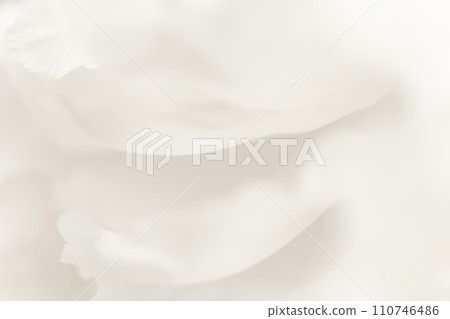 Petals/elegant background material Petals/elegant background material 110746486