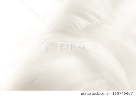 Petals/elegant background material Petals/elegant background material 110746497