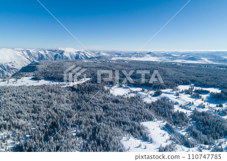 view of winter nature near the town of Zabljak 110747785