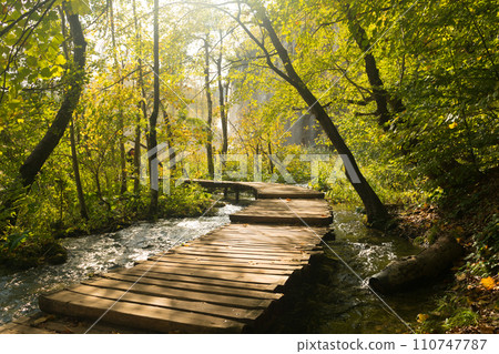 Plitvice lakes of Croatia national park, autumn 110747787